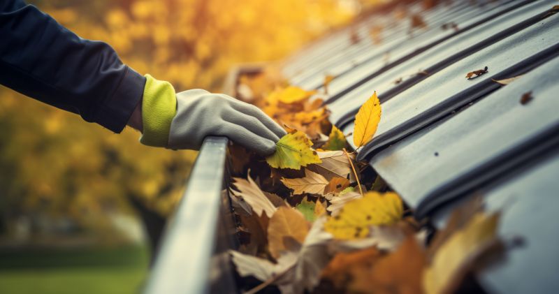 Gutter System in Fall